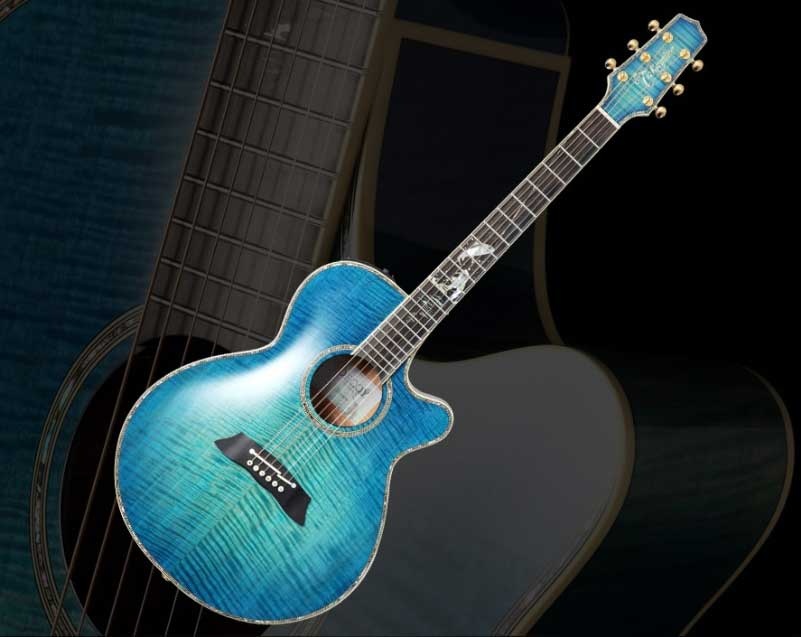 Takamine 2016 Limited Edition ''Decoy!''