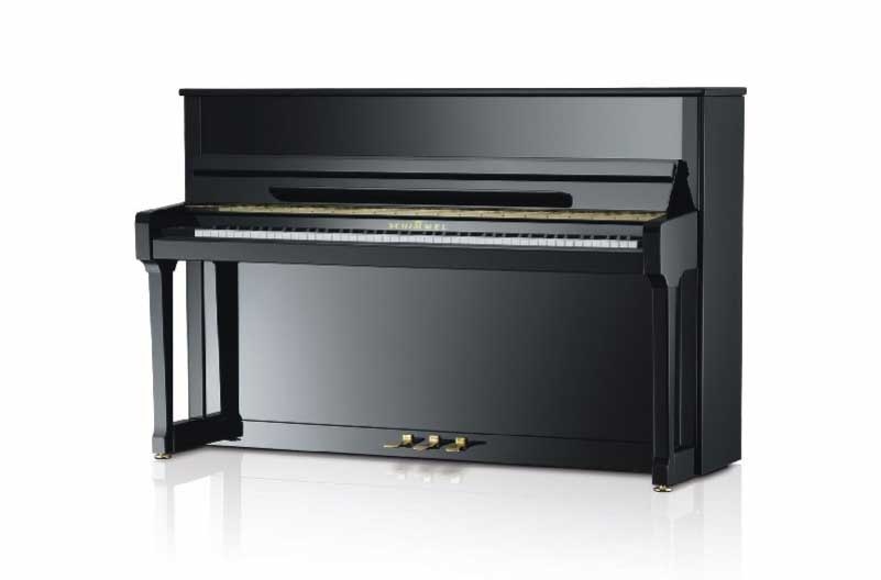 Schimmel C-116