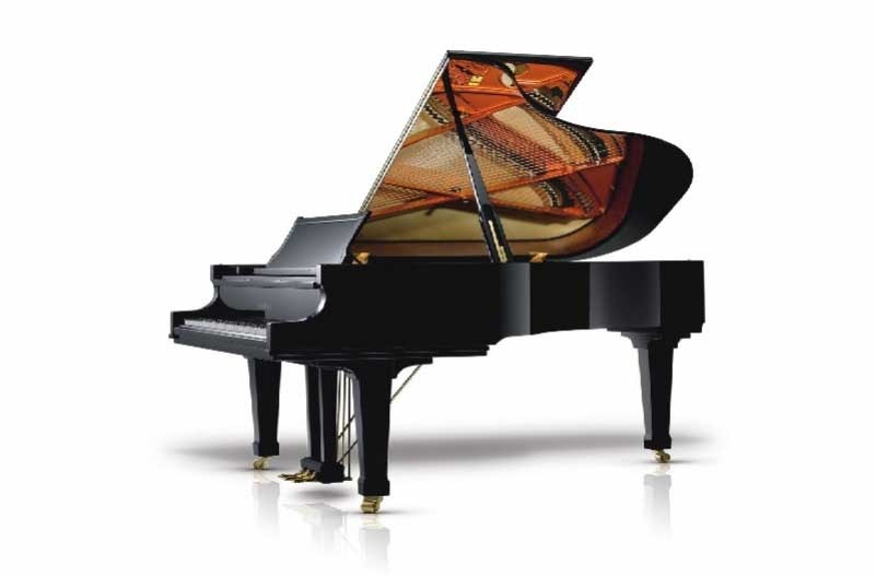 Schimmel C-189
