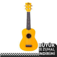 DİĞER TELLİ ÇALGILAR