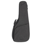 AKUSTİK GİTAR KILIFLARI