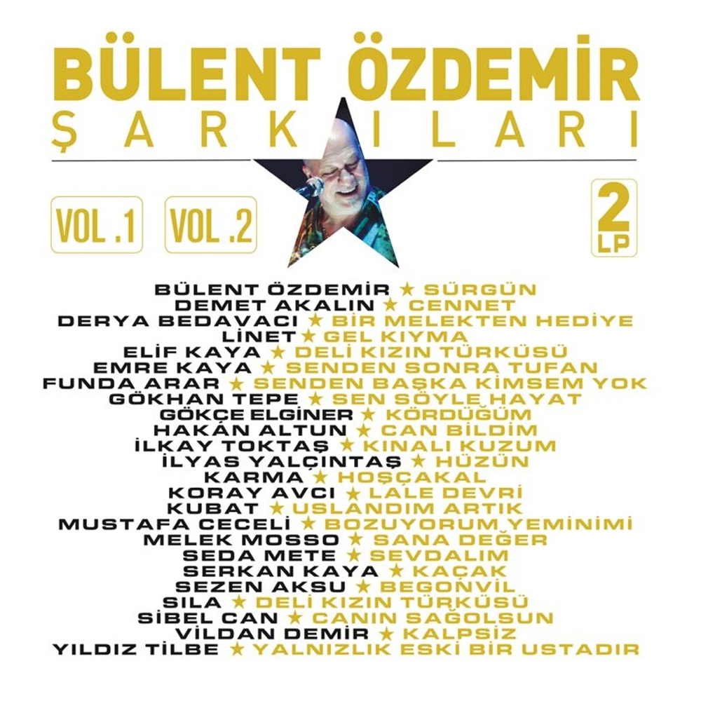 Bülent Özdemir Şarkıları - Çeşitli Sanatçılar (2 Plak)