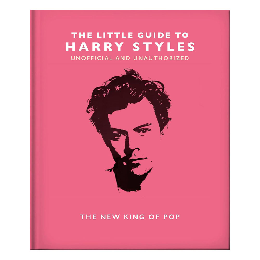 The Little Guide To Harry Styles