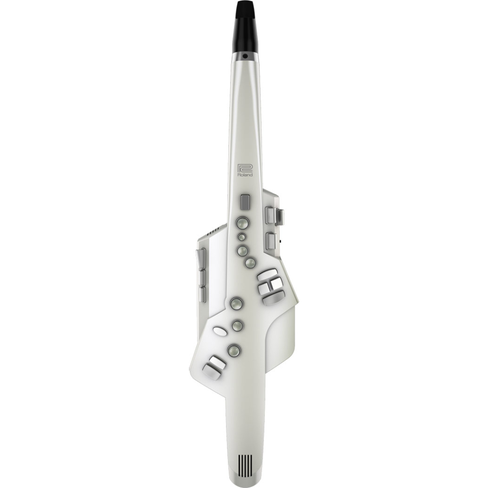 ROLAND AE-10 Aerophone Dijital Saksafon