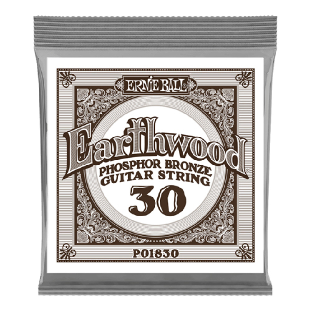 ERNIE BALL .030 Earthwood Phosphor Bronze Akustik Gitar Tek Tel