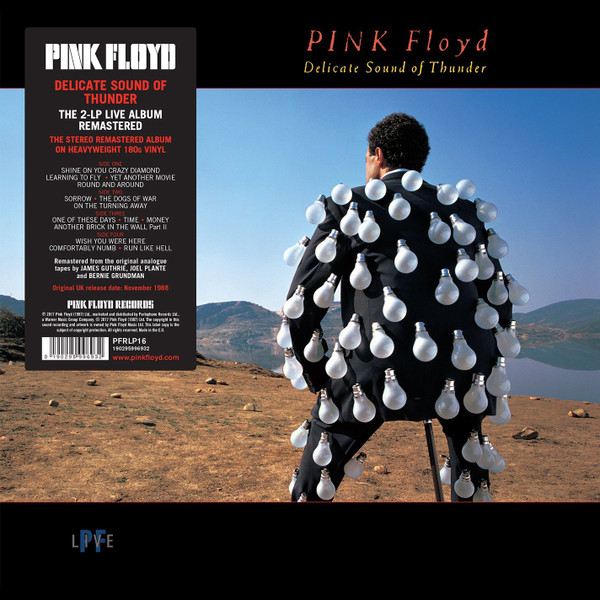 Pink Floyd – Delicate Sound Of Thunder (2017 Reissue, Remastered)