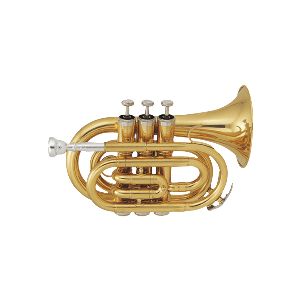 SML Paris TP50 Pocket Trompet