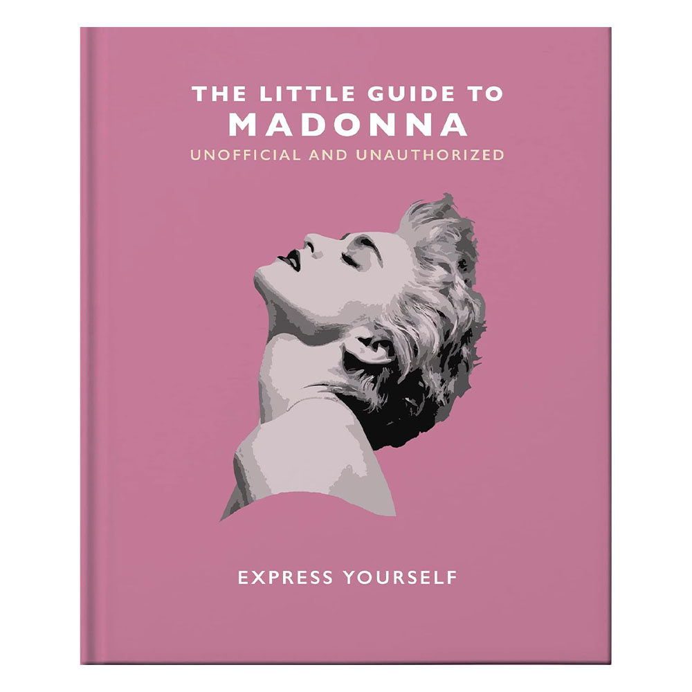 The Little Guide To Madonna