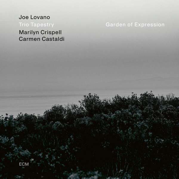 Joe Lovano, Trio Tapestry, Marilyn Crispell, Carmen Castaldi – Garden Of Expression