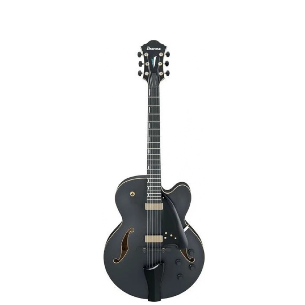 IBANEZ AFC125-BKF Elektro Gitar
