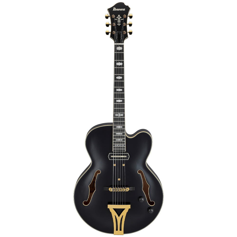 IBANEZ PM3C-BKL Pat Metheny Signature Hollow Body Siyah Elektro Gitar