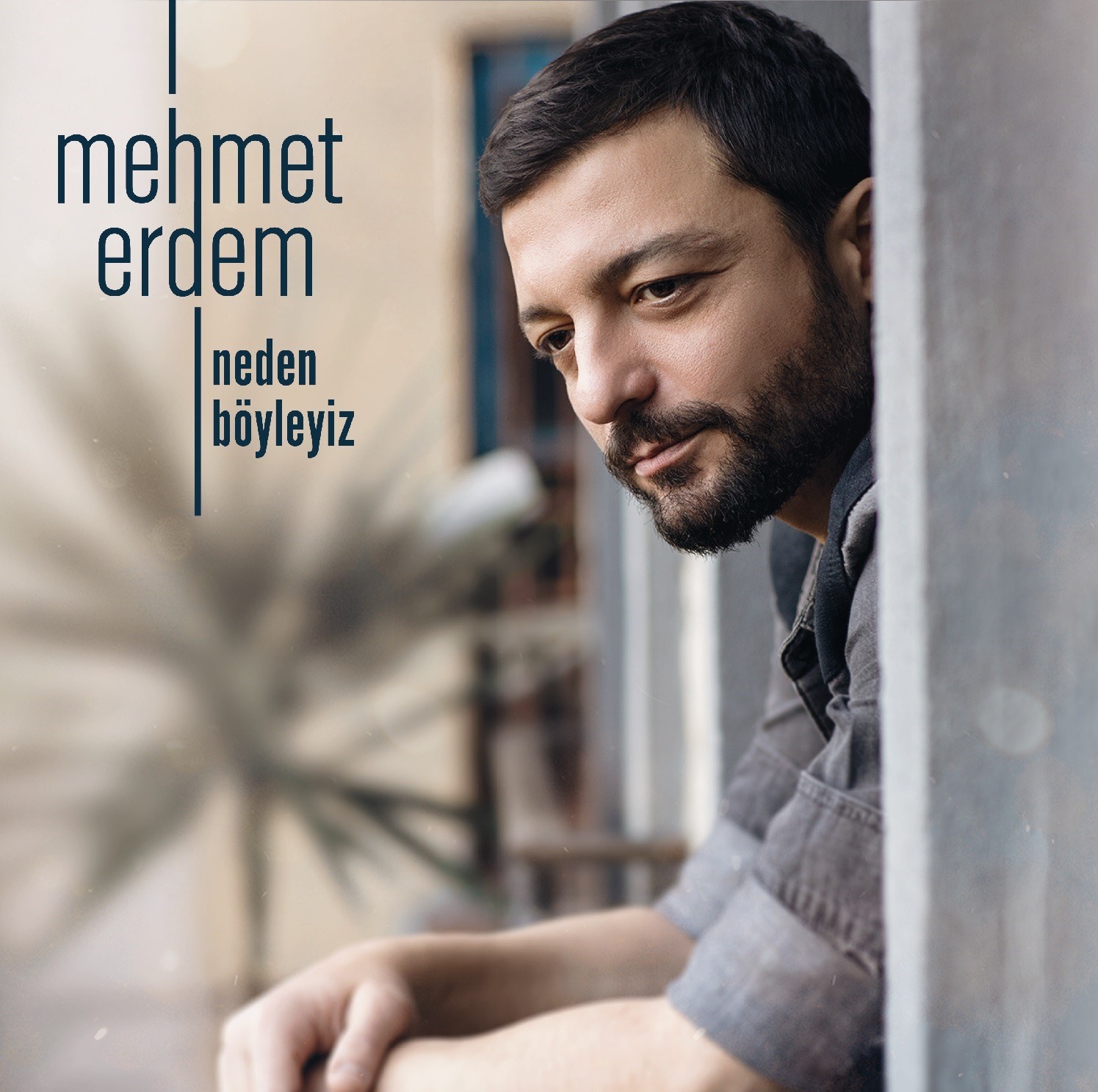 Mehmet Erdem - Neden Böyleyiz (Transparan Plak)