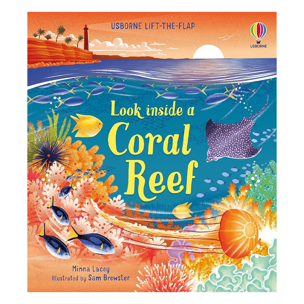 Look Inside A Coral Reef