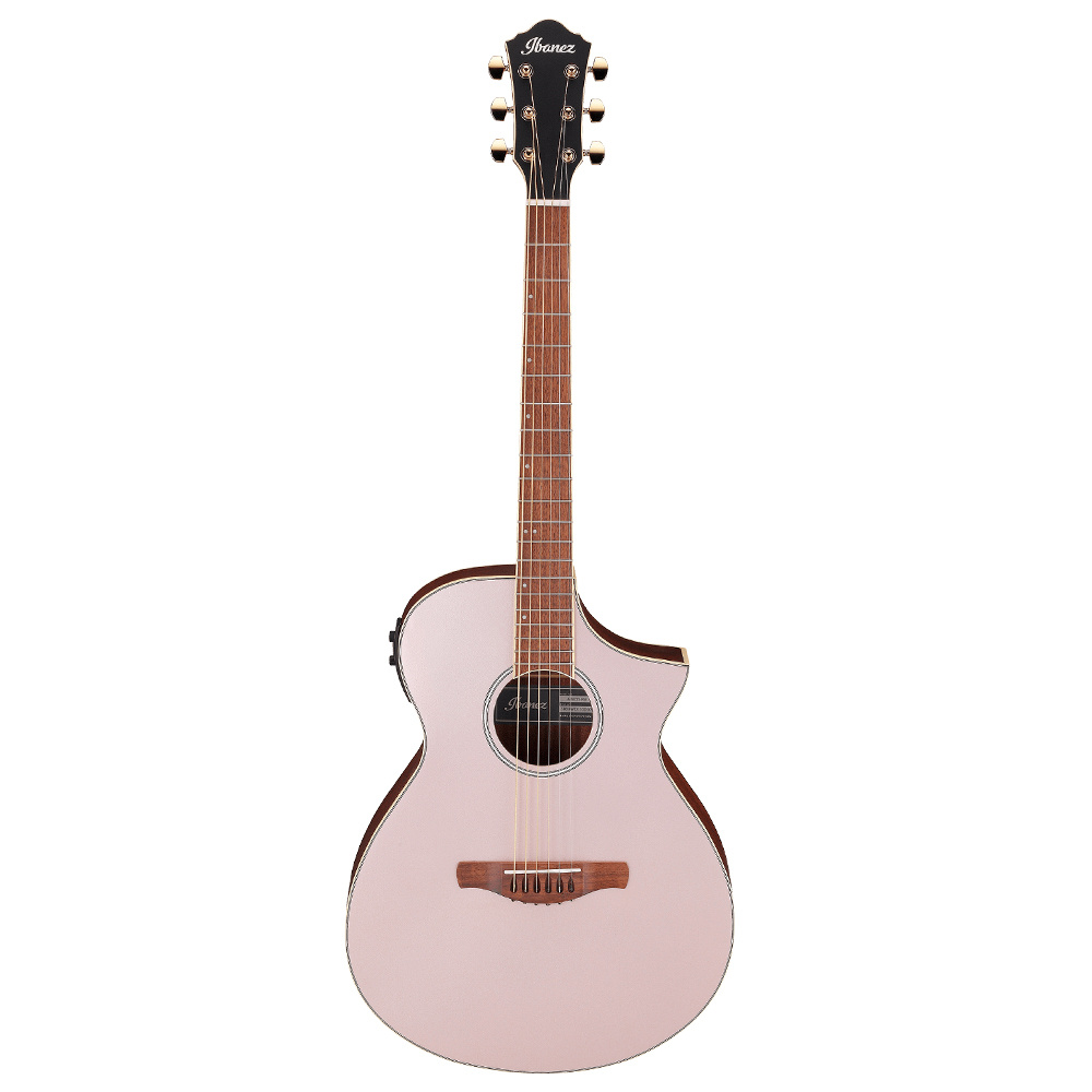Ibanez AEWC12-RGF Elektro Akustik Gitar