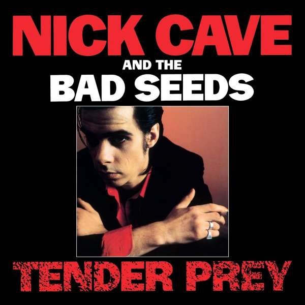 Nick Cave and the Bad Seeds - Tender Prey