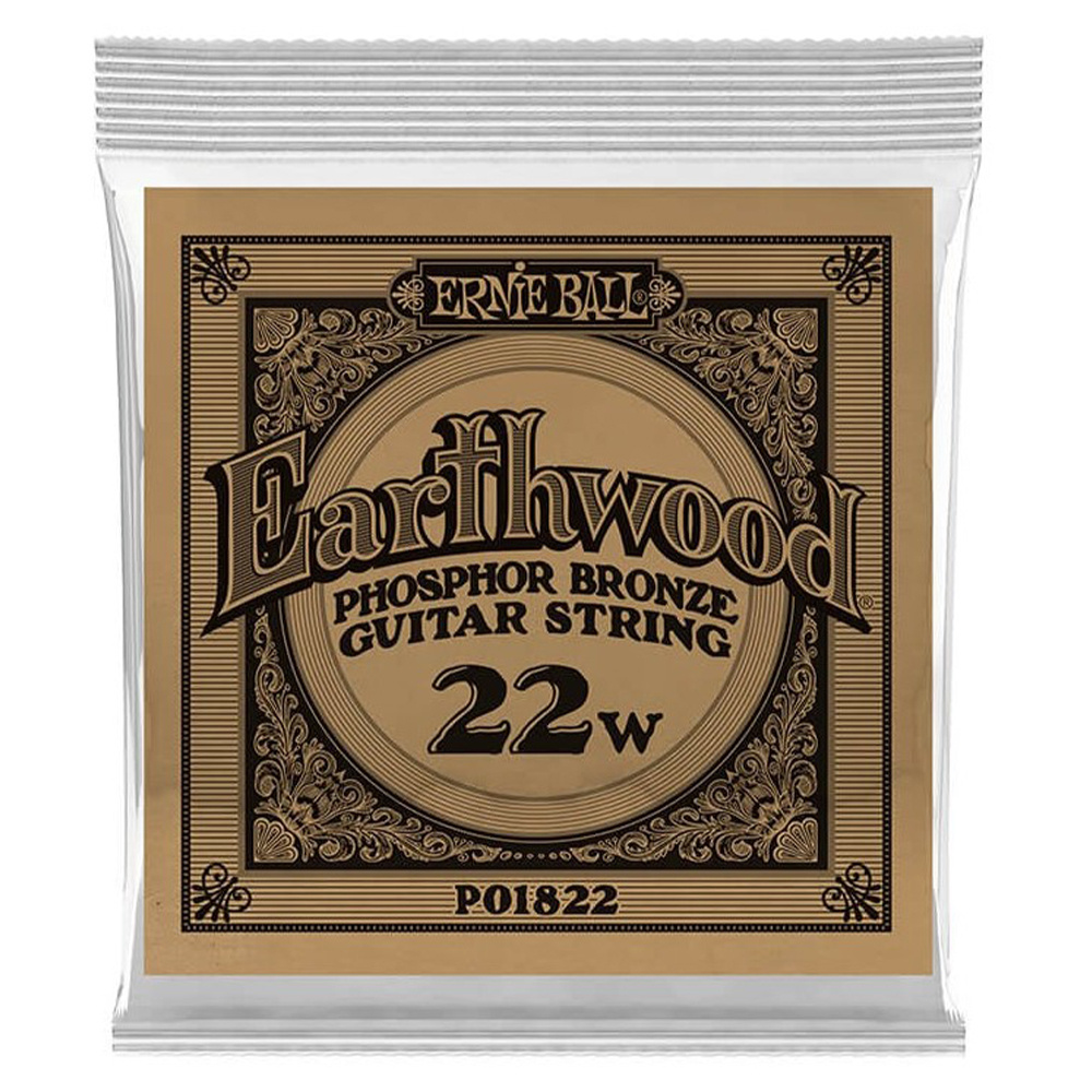 ERNIE BALL .022 Earthwood Phosphor Bronze Akustik Gitar Tek Tel