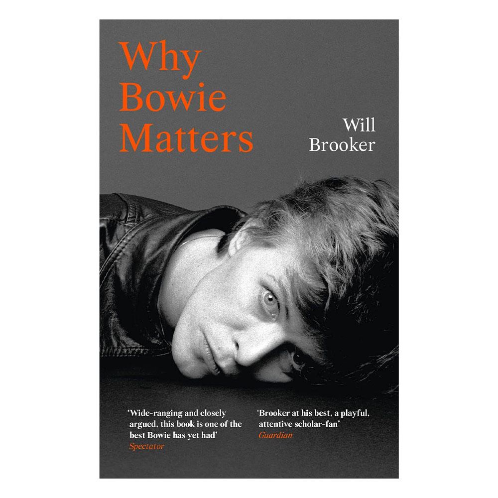 Why Bowie Matters