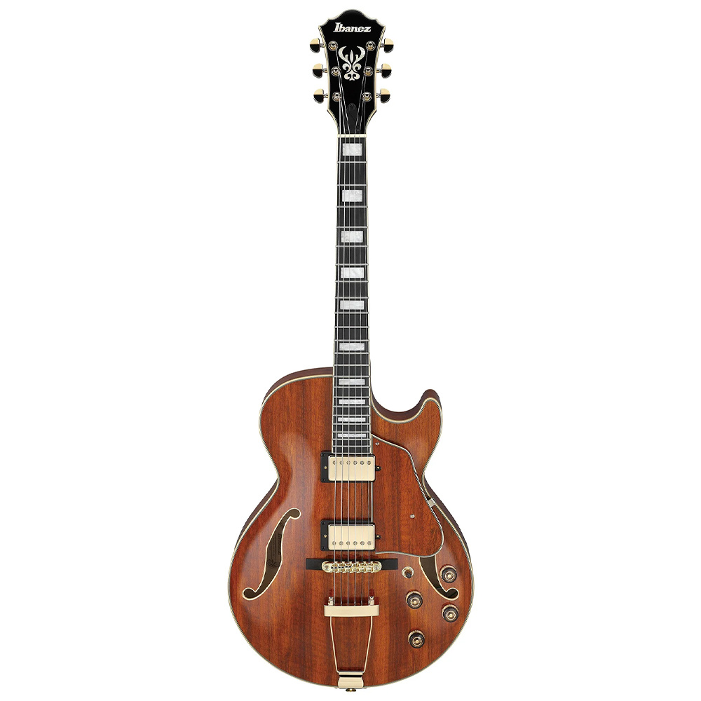 Ibanez AG95K-NT Hollow Body Elektro Gitar