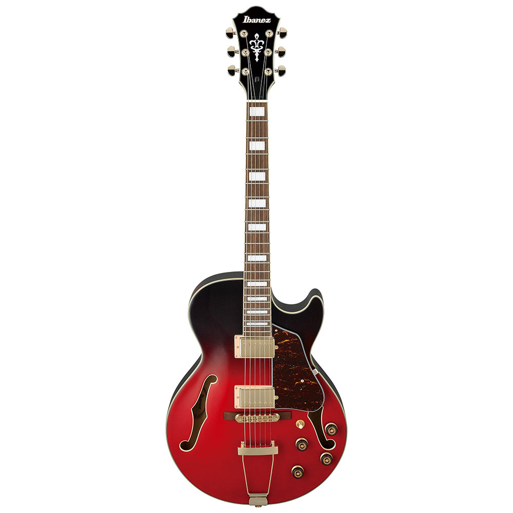 IBANEZ AG75G-SCG Elektro Gitar