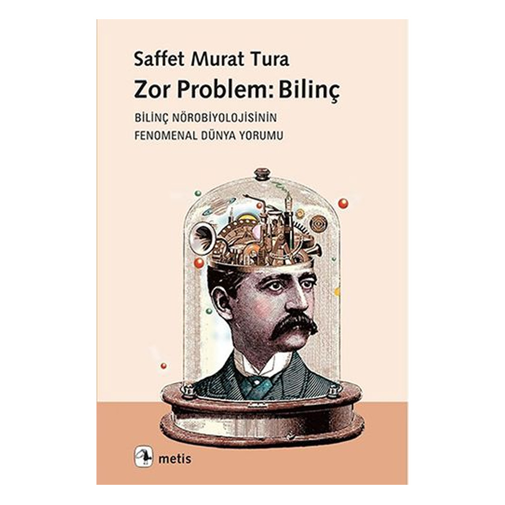 Zor Problem: Bilinç