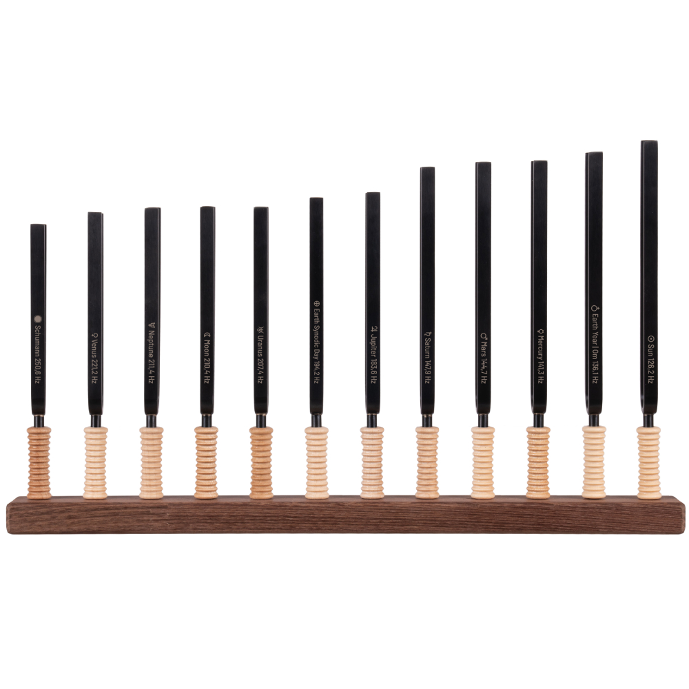 SCHLAGWERK STF-PL12 Planetary Set Universel Akort Çatalı Seti