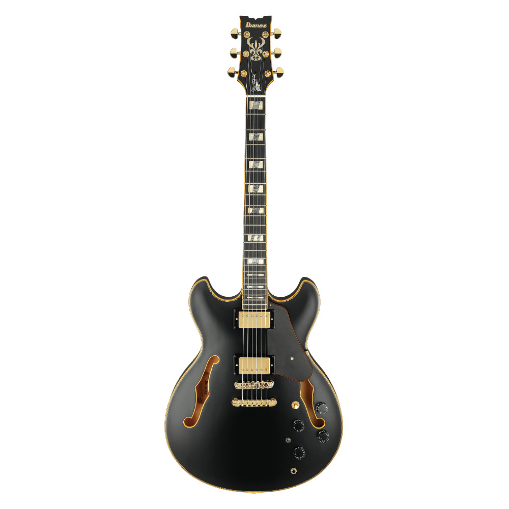 IBANEZ JSM20-BKL JSM Elektro Gitar (Case Dahil)