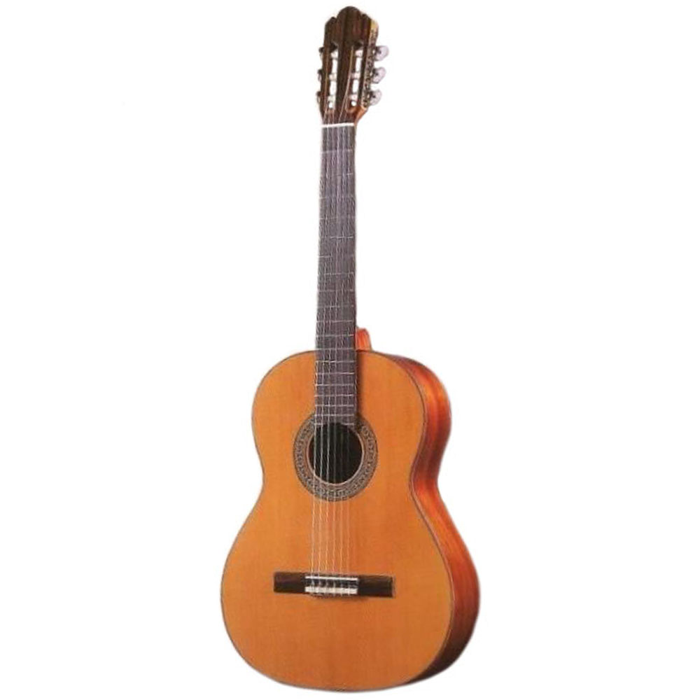 Antonio Sanchez Mod 3050 C Elektro Klasik Gitar