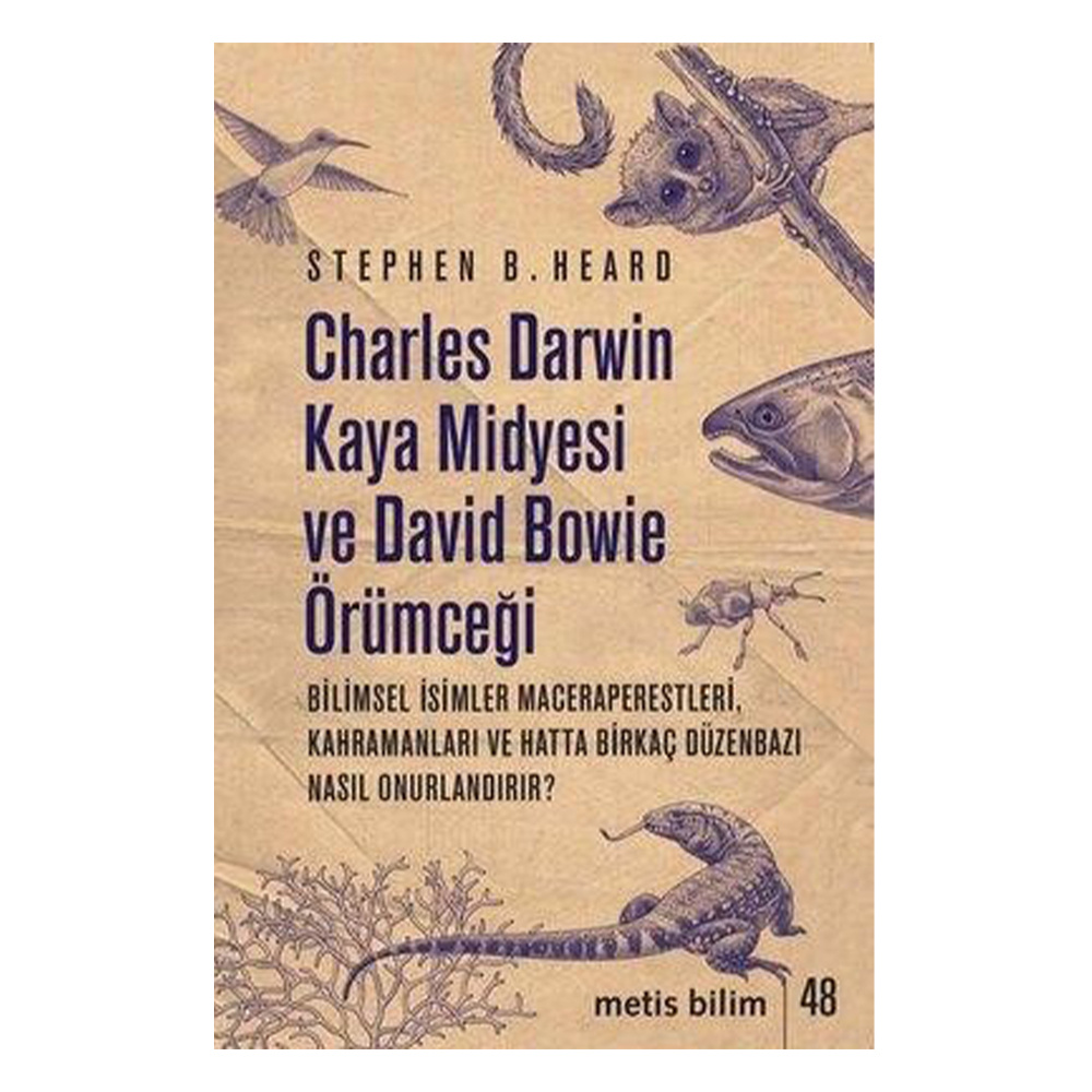 Charles Darwin Kaya Midyesi ve David Bowie Örümceği