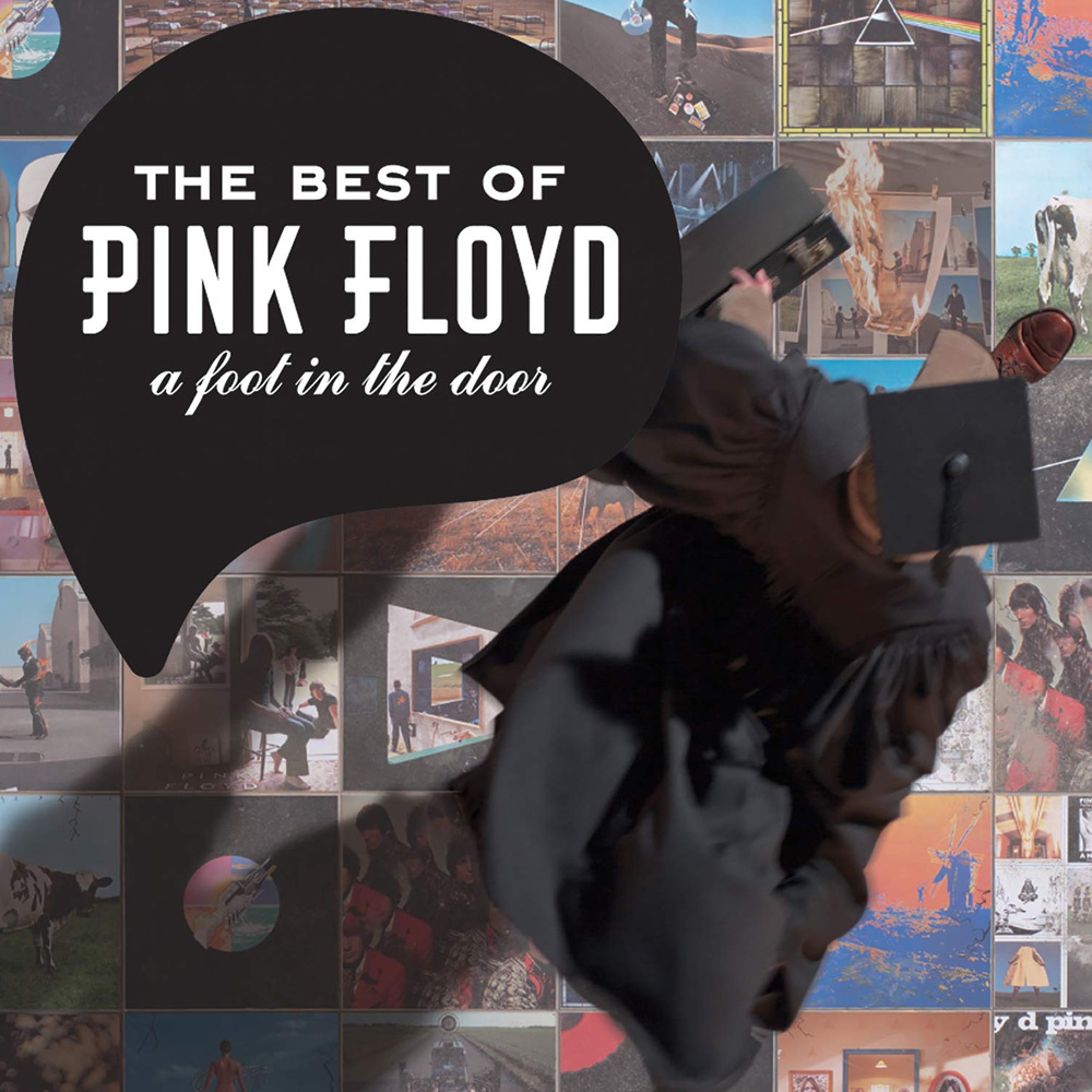 Pink Floyd - The Best Of Pink Floyd: A Foot In The Door