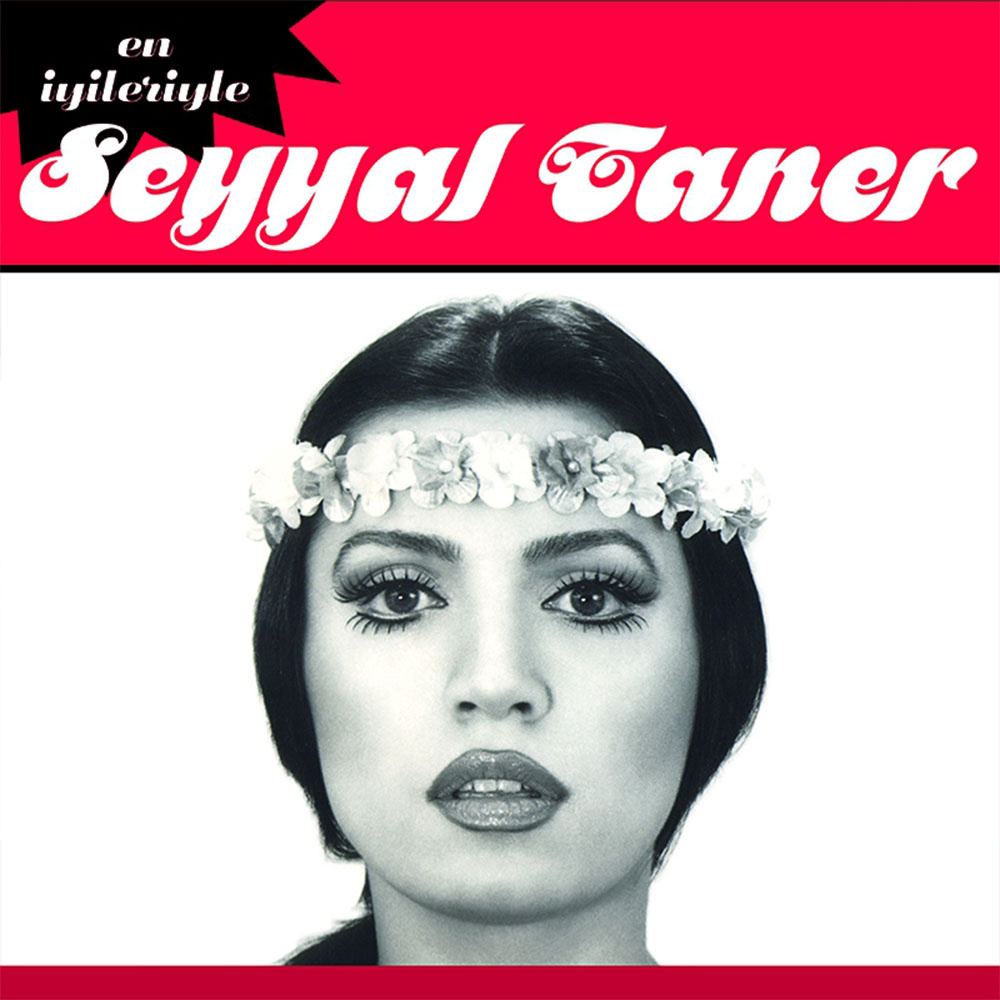 Seyyal Taner - En İyileriyle