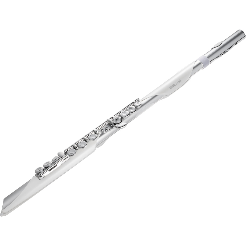 ROLAND AE-BRISA Aerophone Dijital Nefesli Enstrüman