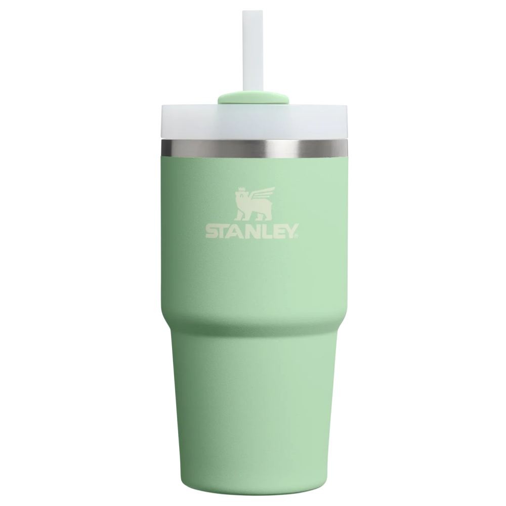 STANLEY The Quencher H2.O FlowState™ Tumbler 0.6L / 20oz Pistachio