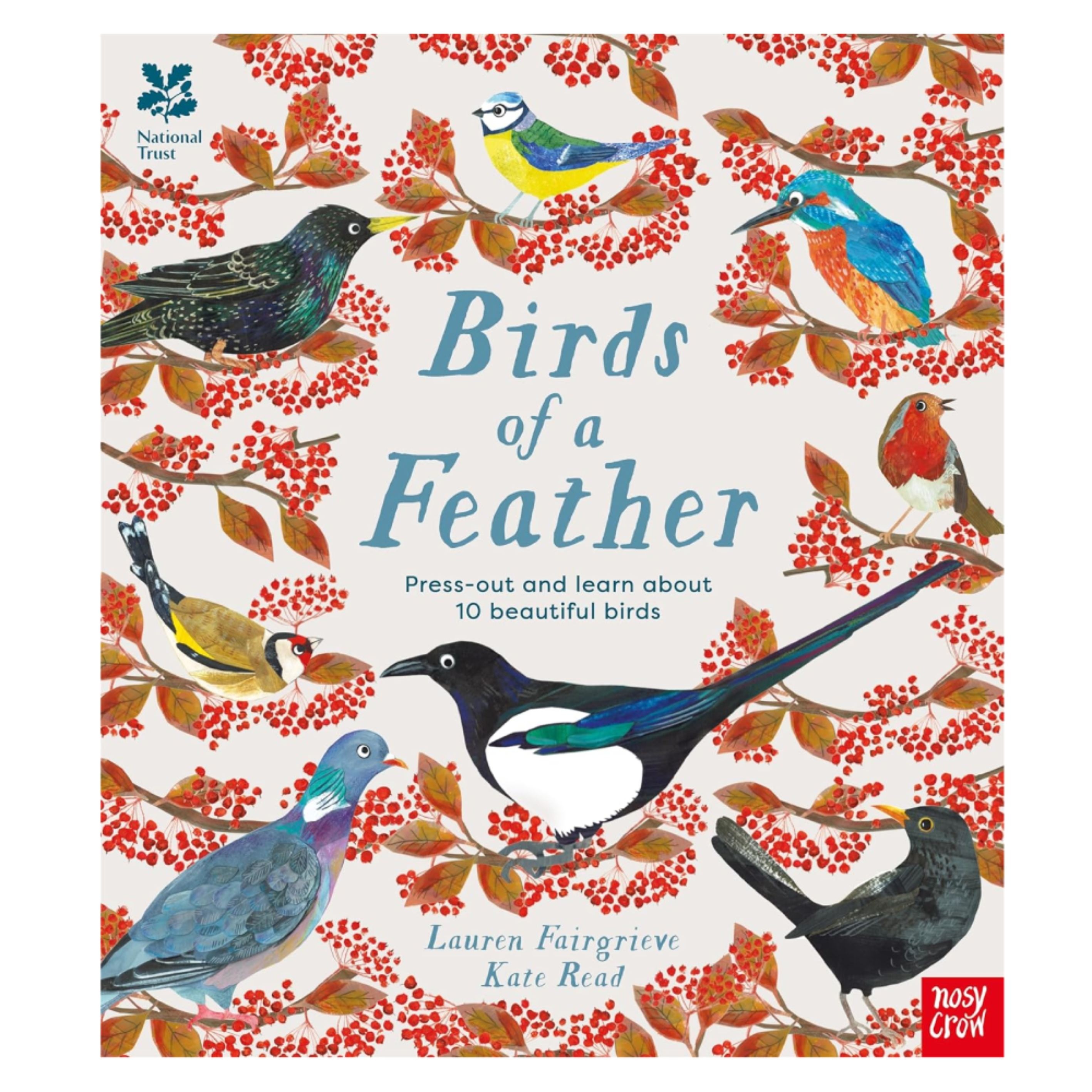 National Trust: Birds of a Feather: Press Out and Learn About 10 Beautiful Birds