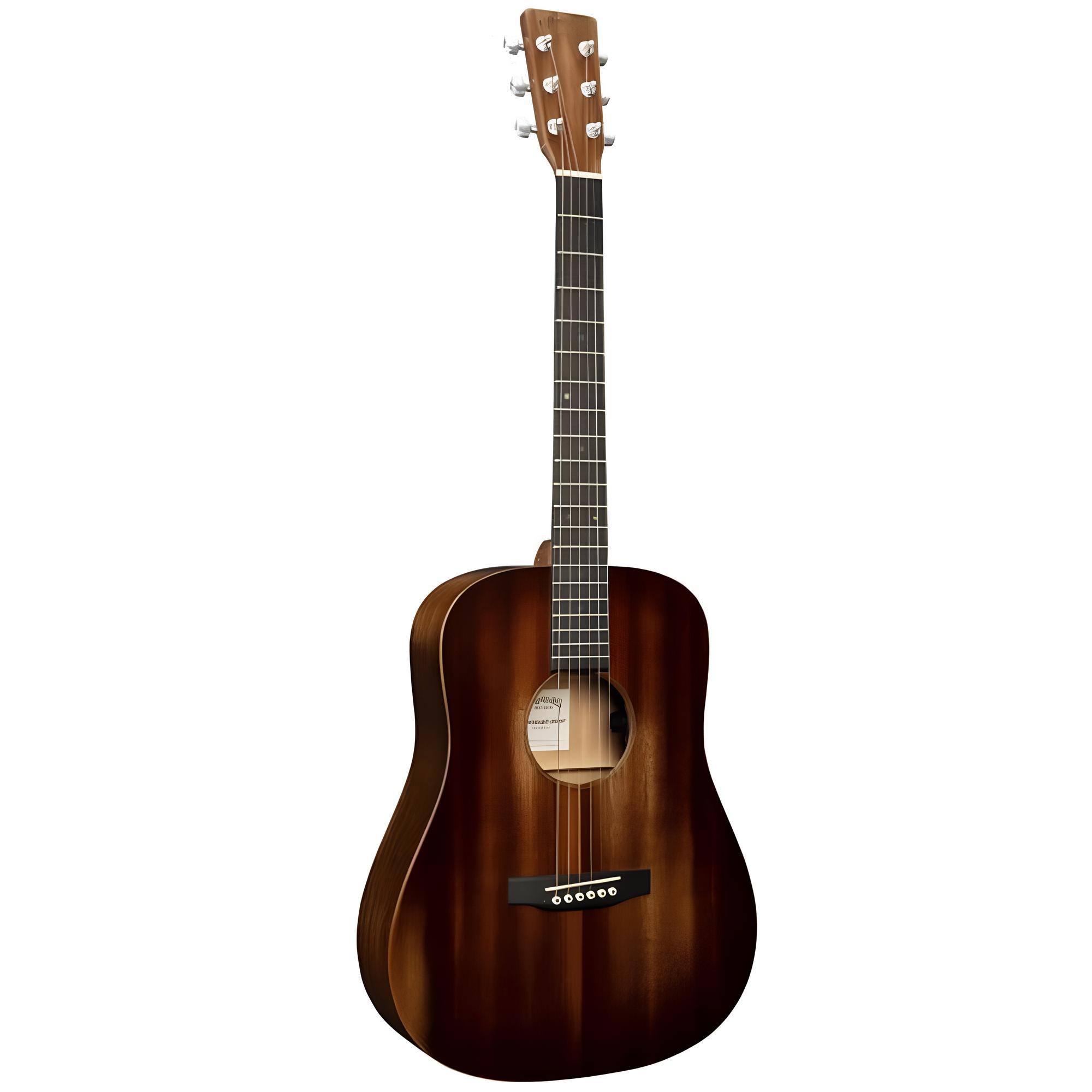 MARTIN D Jr-E StreetMaster Elektro Akustik Gitar