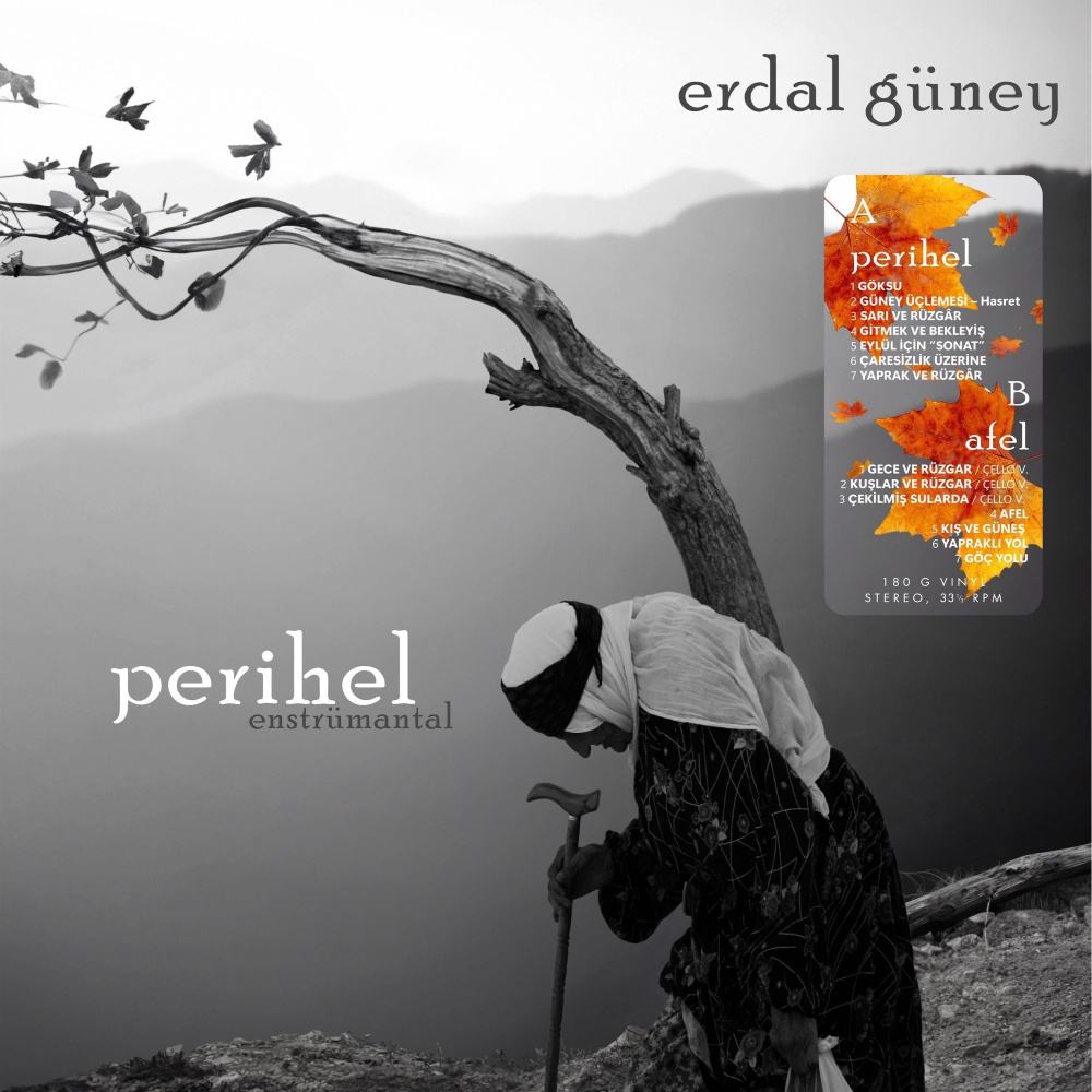 Erdal Güney - Perihel-Afel