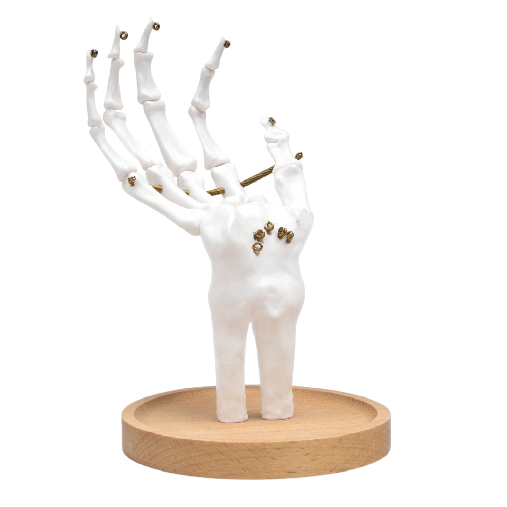 SUCK UK Mücevher Düzenleyici - Beyaz