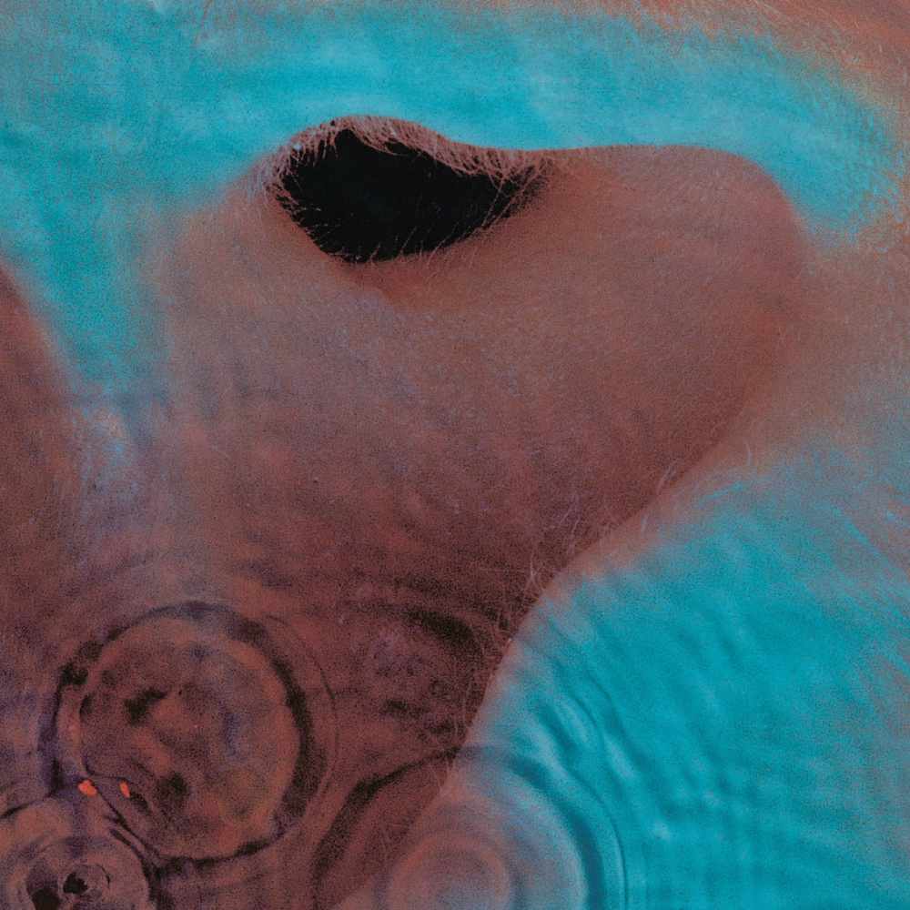 Pink Floyd - Meddle (Remastered)