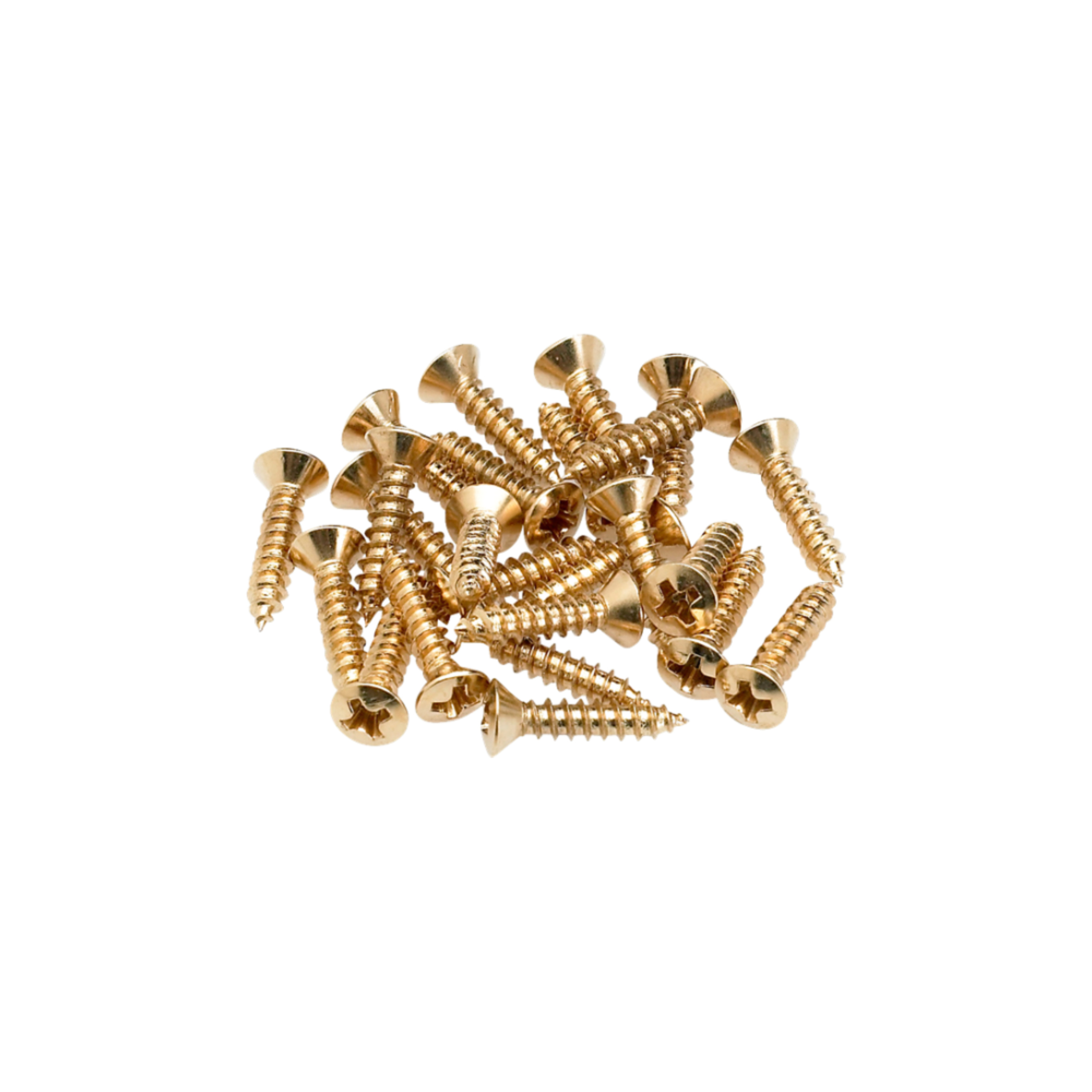 Fender Pickguard/Control Plate Mounting Screws 24 Gold Gitar Yedek Parça