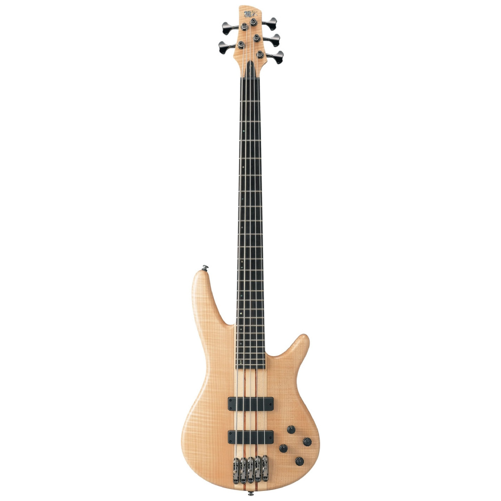 Ibanez SR 1005 EFM NTF Prestige Natural Flat 5 Telli Bas Gitar