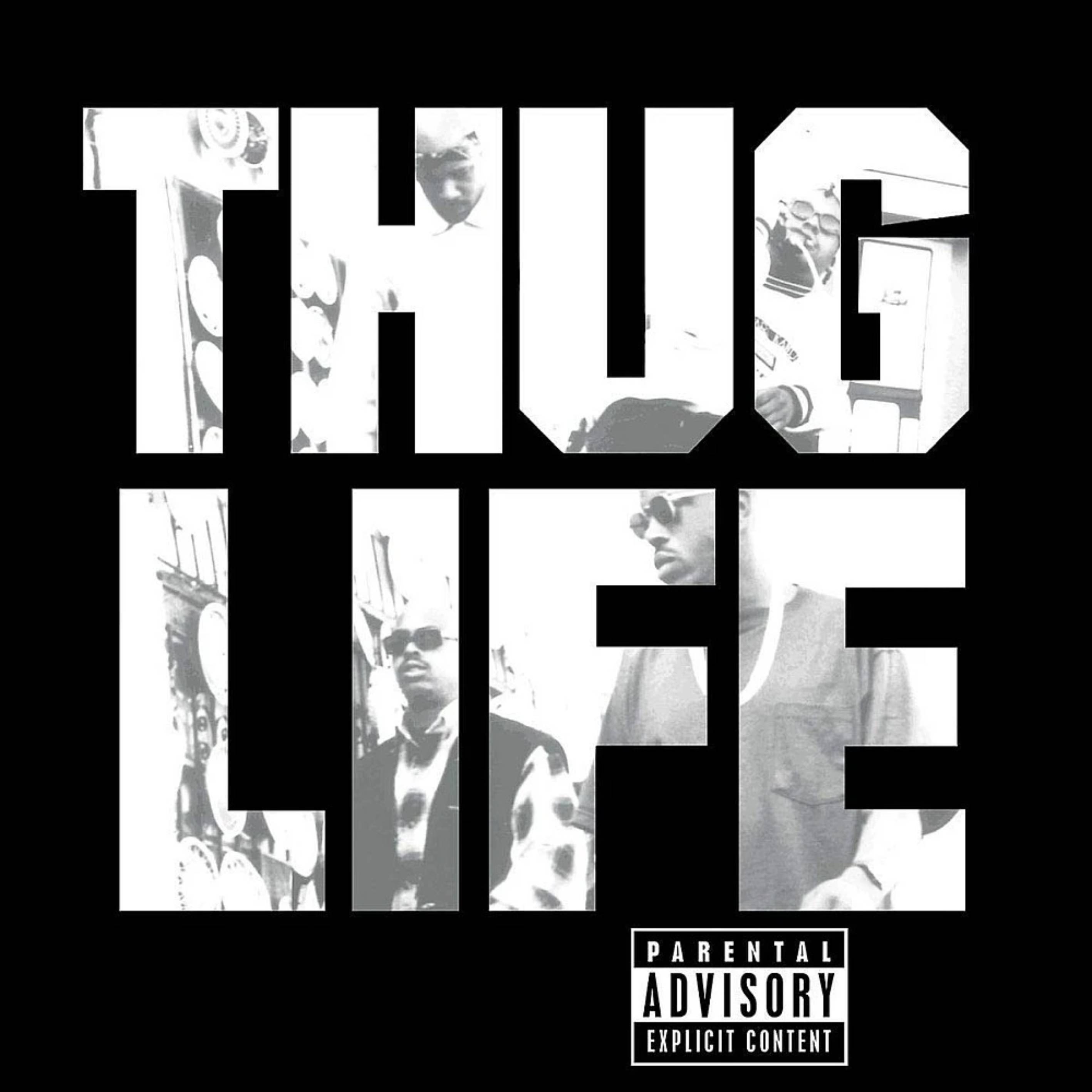 2pac - Thug Life: Vol. 1