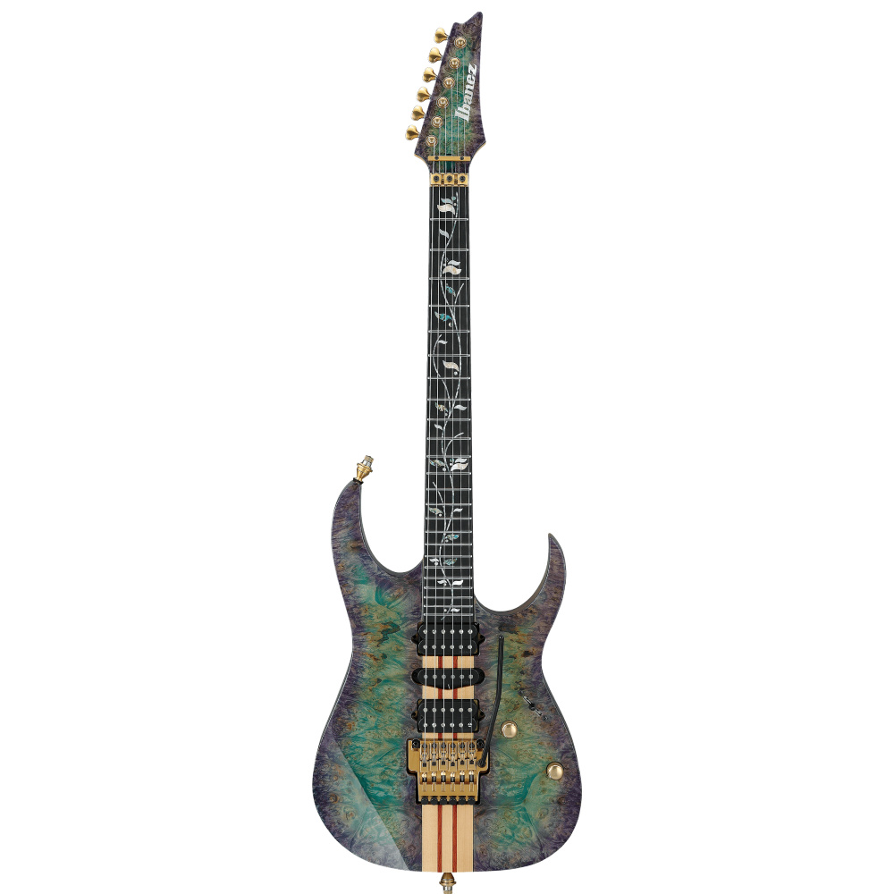 IBANEZ IVRG2 VISION Elekto Gitar