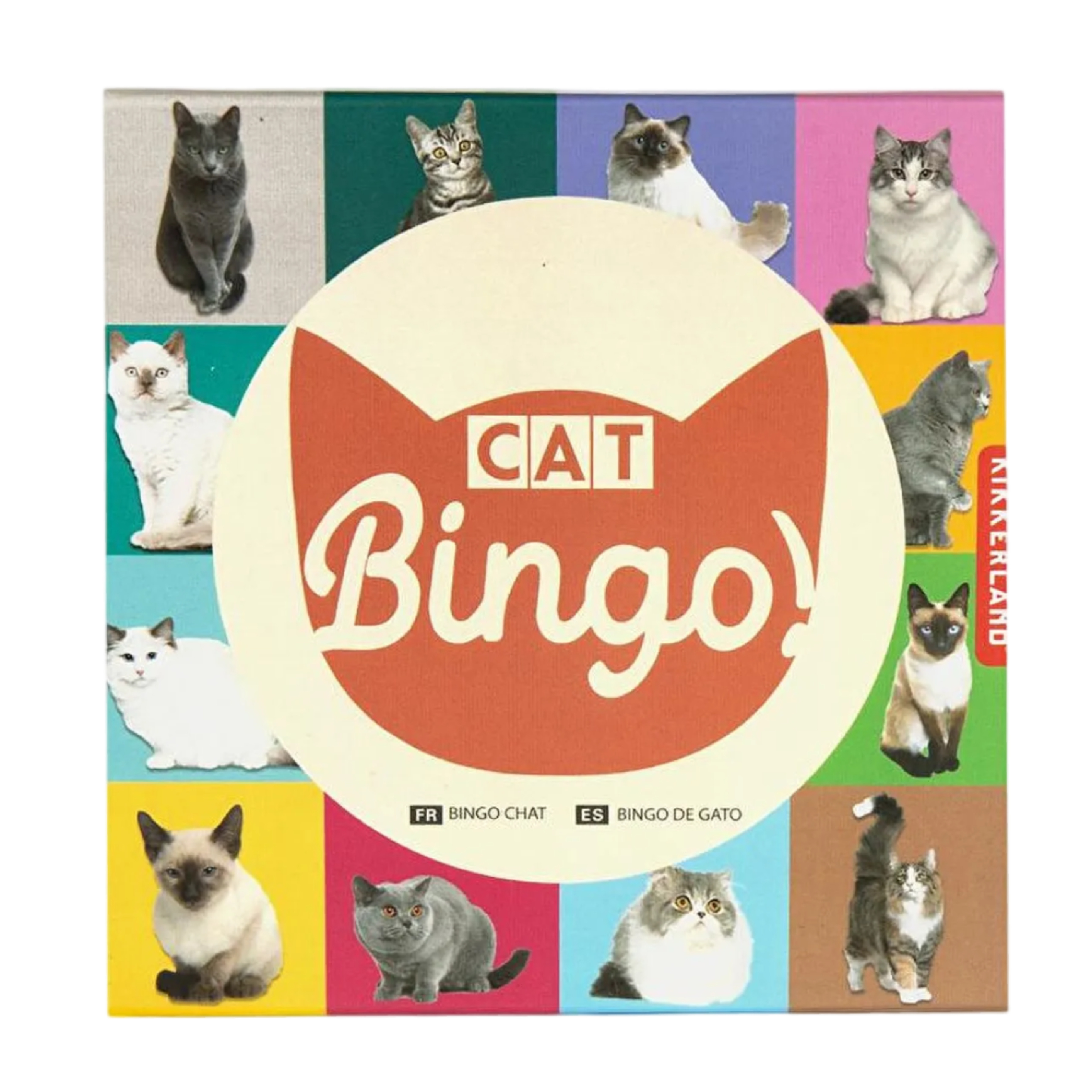 KIKKERLAND Oyun - Bingo Kedi