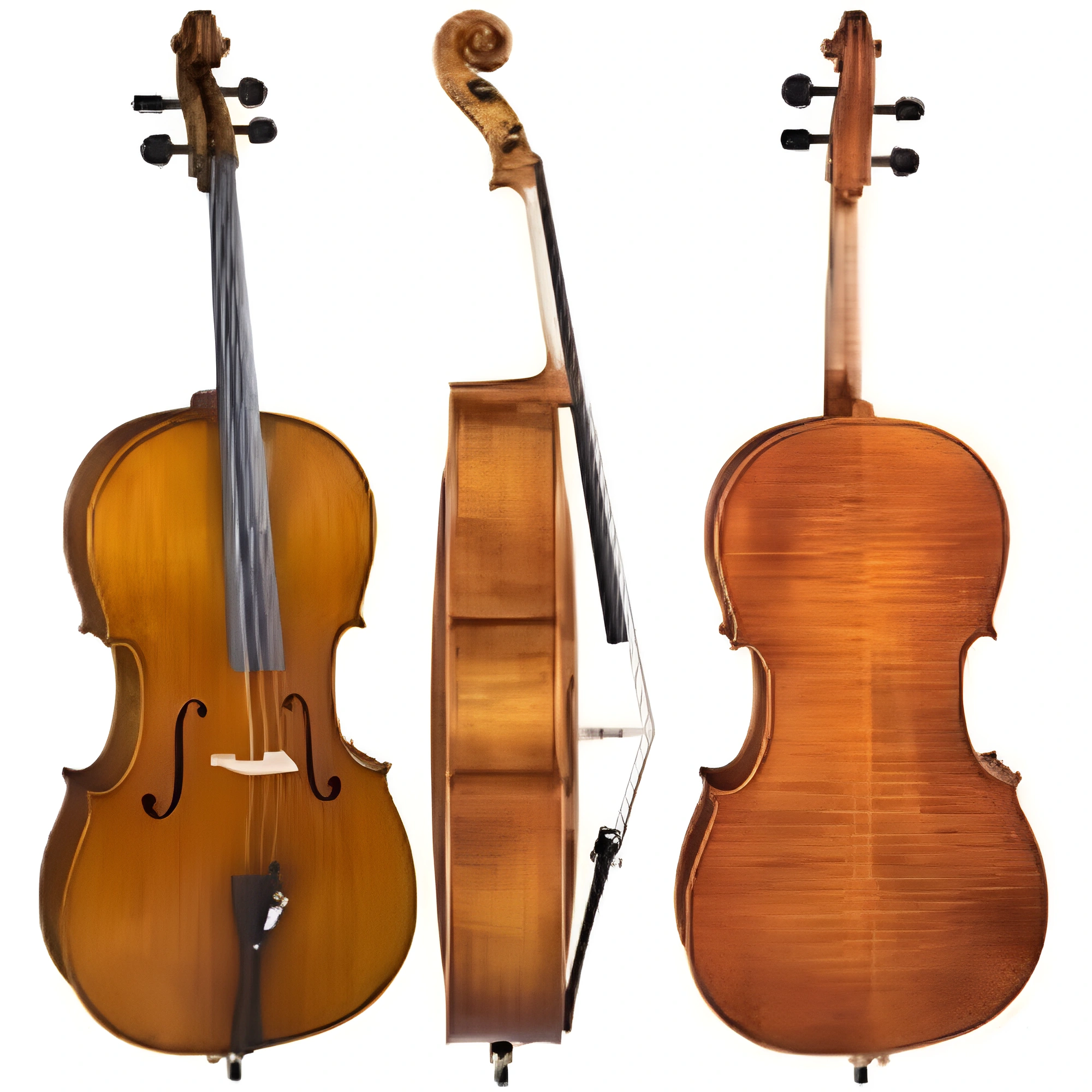 ANTON BRUCKNER MAESTRO IV Çello