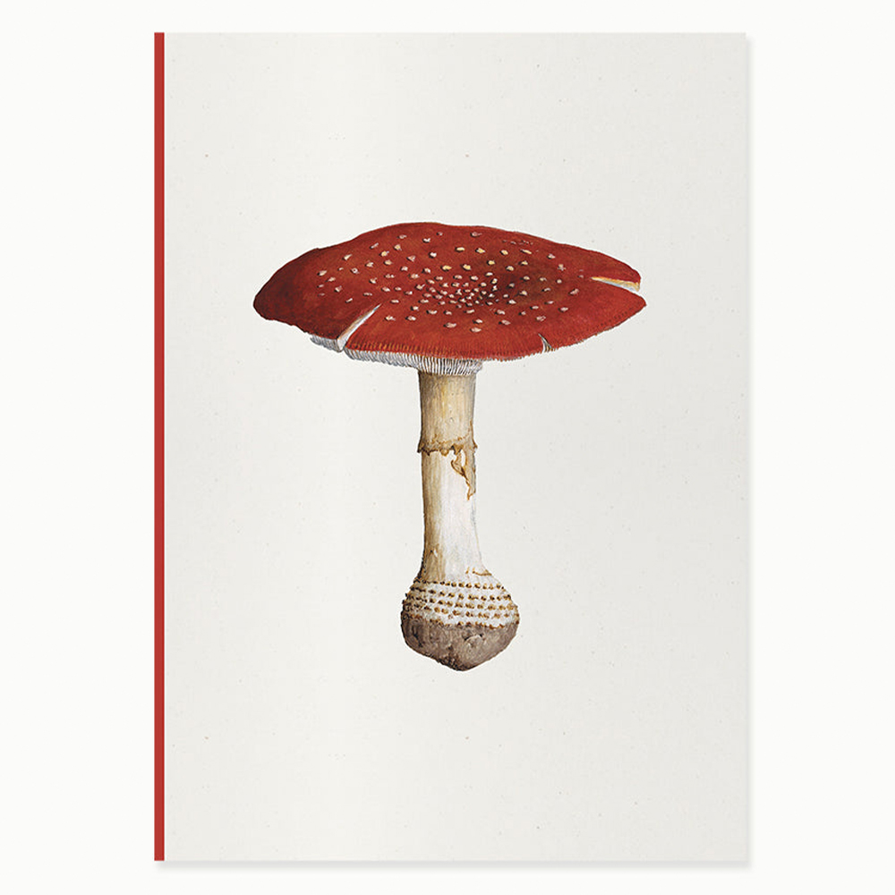 PAPER STREET Mantar I - Amanita Muscaria Defter