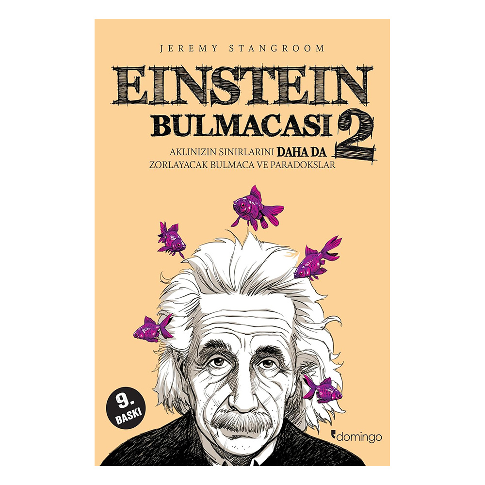 Einstein Bulmacası 2
