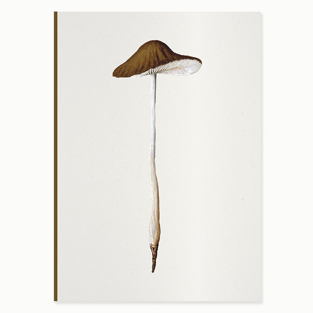 PAPER STREET Mantar II - Agaricus Radicatus Defter