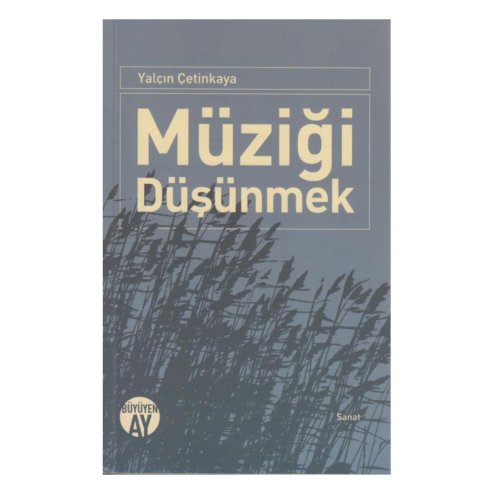 Müziği Düşünmek