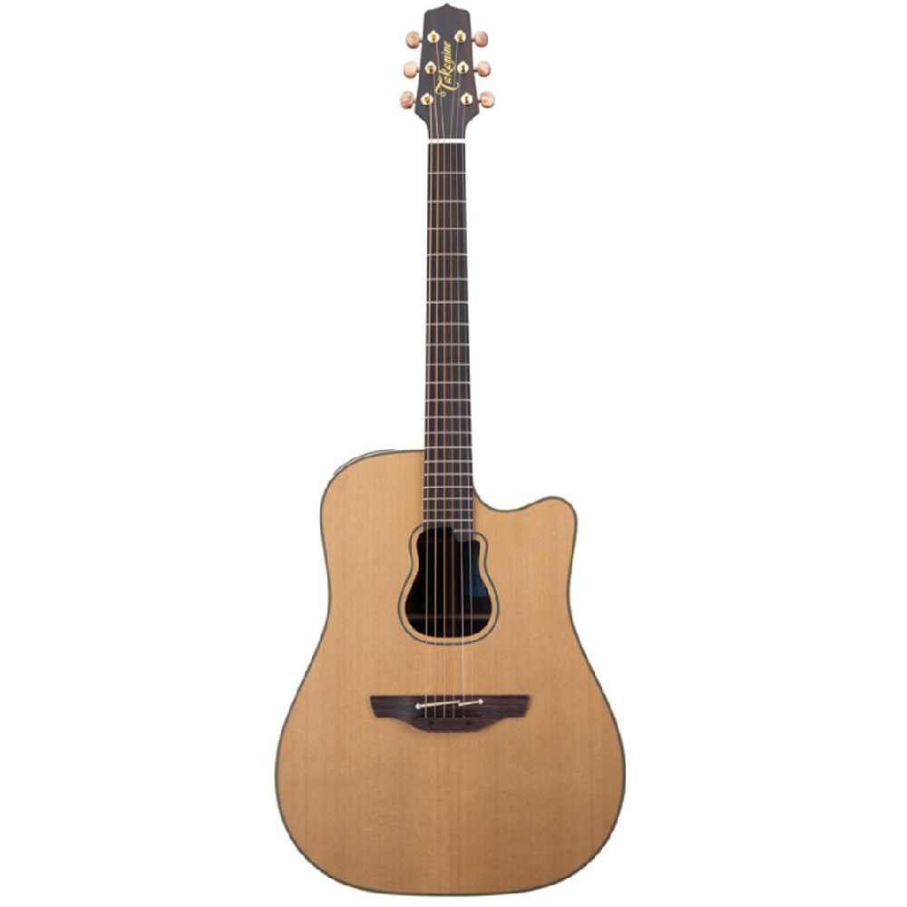 Takamine Garth Brooks GB7C Elektro Akustik Gitar