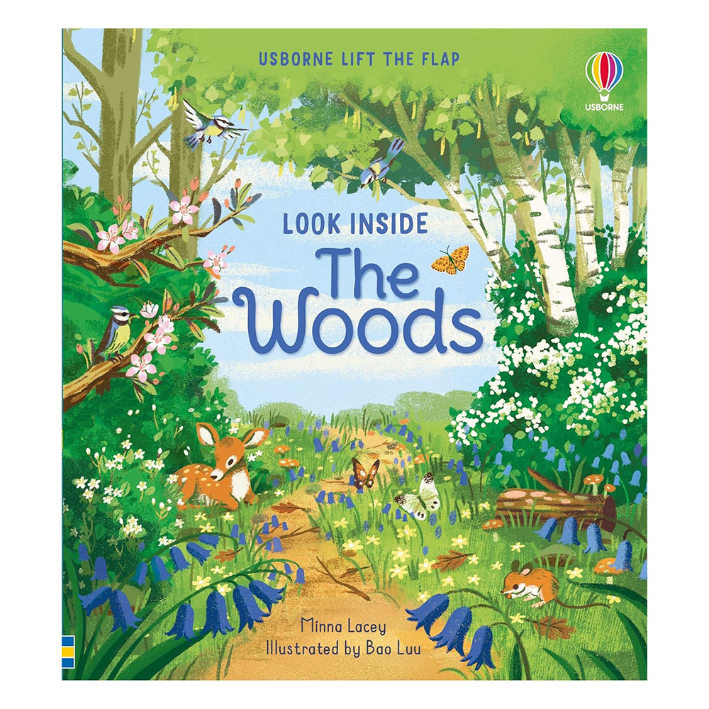 Look Inside The Woods
