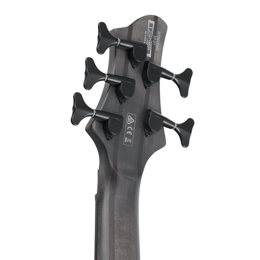 Ibanez BTB805MS-TGF Bass Workshop BTB Serisi 5 Telli Bas Gitar